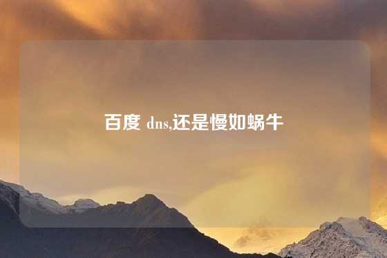 百度 dns,还是慢如蜗牛