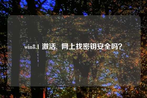 win8.1 激活,  网上找密钥安全吗？