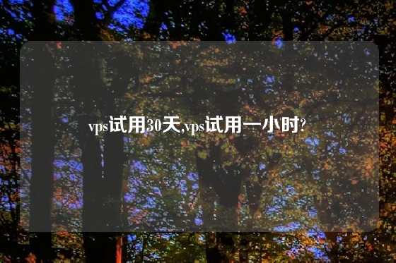 vps试用30天,vps试用一小时?