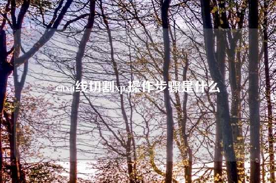 caxa线切割xp,操作步骤是什么