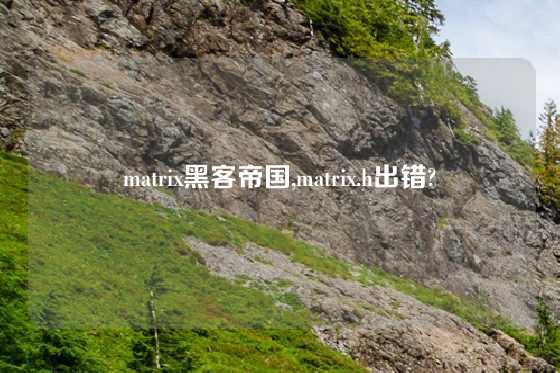 matrix黑客帝国,matrix.h出错?