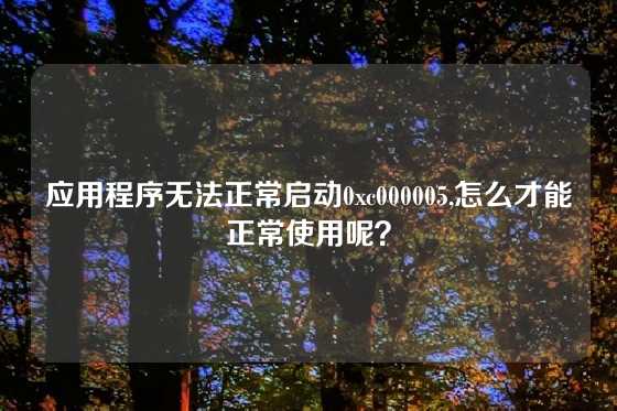应用程序无法正常启动0xc000005,怎么才能正常使用呢？