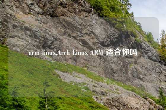 arm linux,Arch Linux ARM 适合你吗