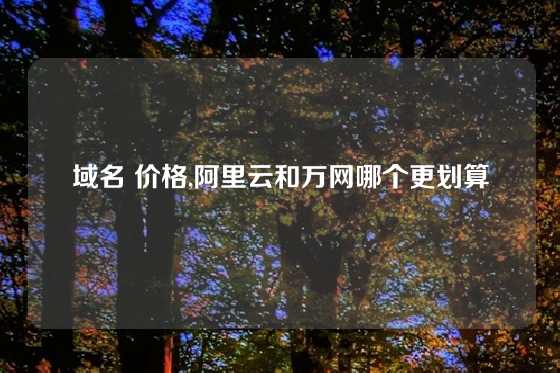 域名 价格,阿里云和万网哪个更划算