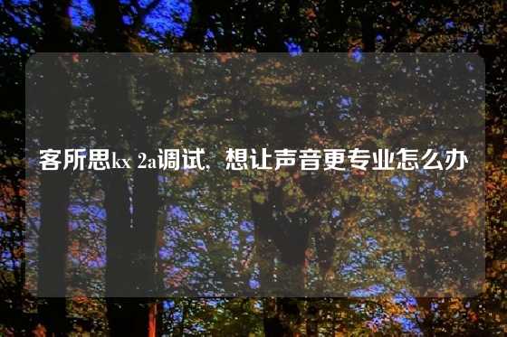 客所思kx 2a调试,  想让声音更专业怎么办