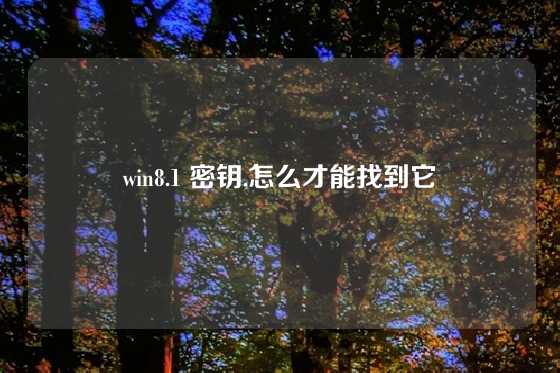 win8.1 密钥,怎么才能找到它
