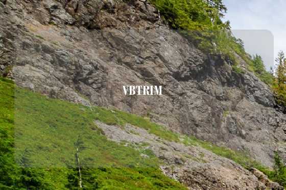 VBTRIM