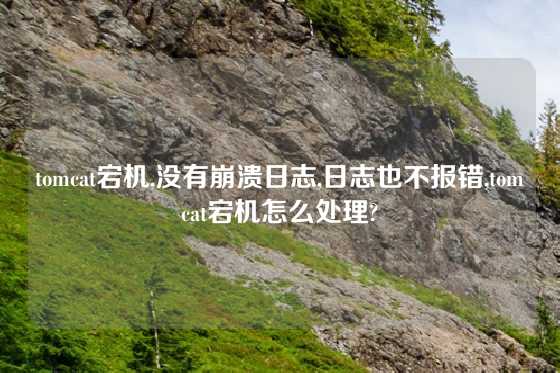 tomcat宕机,没有崩溃日志,日志也不报错,tomcat宕机怎么处理?