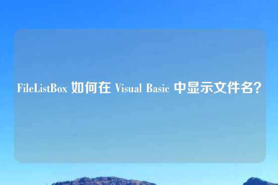 FileListBox 如何在 Visual Basic 中显示文件名？