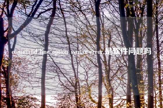 command line option syntax error,是软件问题吗