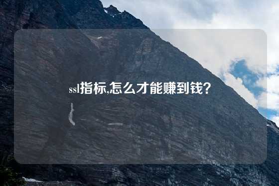 ssl指标,怎么才能赚到钱？