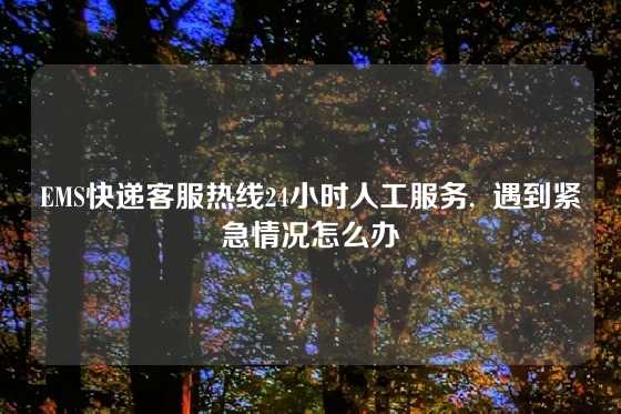 EMS快递客服热线24小时人工服务,  遇到紧急情况怎么办