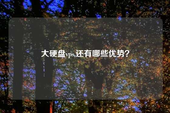 大硬盘vps,还有哪些优势？
