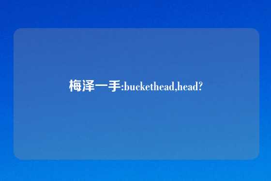梅泽一手:buckethead,head?