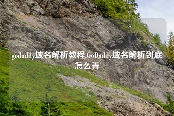 godaddy域名解析教程,GoDaddy域名解析到底怎么弄