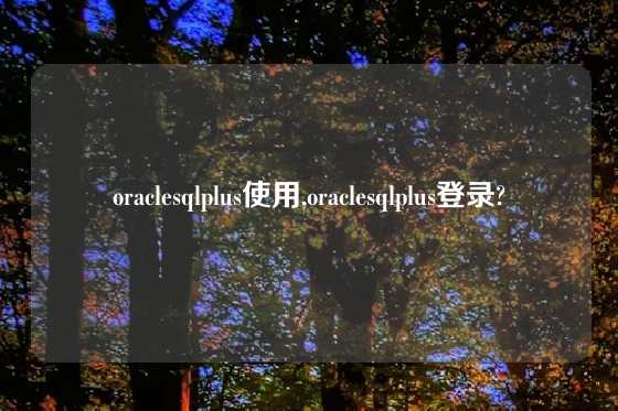oraclesqlplus使用,oraclesqlplus登录?