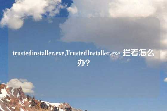 trustedinstaller.exe,TrustedInstaller.exe 拦着怎么办？