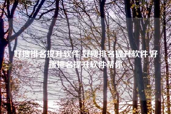 好搜排名提升软件 好搜排名提升软件,好搜排名提升软件帮你