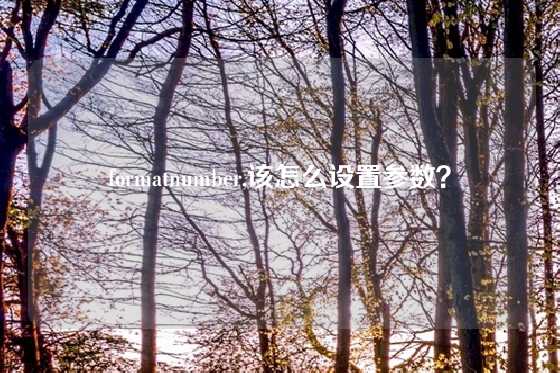 formatnumber,该怎么设置参数？