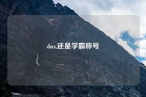 dux,还是学霸称号