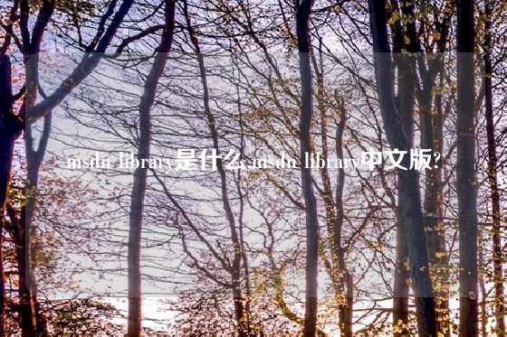 msdn library是什么,msdn library中文版?