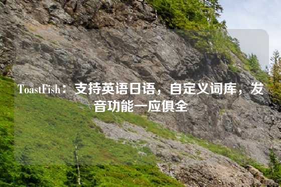 ToastFish：支持英语日语，自定义词库，发音功能一应俱全