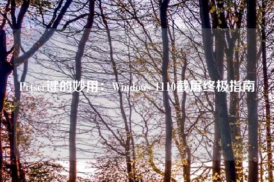 Prtscr键的妙用：Windows 1110截屏终极指南