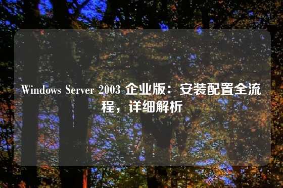 Windows Server 2003 企业版：安装配置全流程，详细解析
