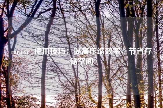 rar.exe  使用技巧：提高压缩效率，节省存储空间