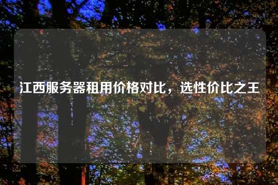 江西服务器租用价格对比，选性价比之王
