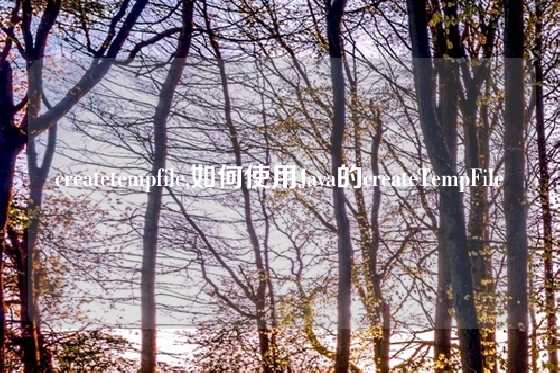 createtempfile,如何使用Java的createTempFile