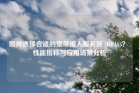 如何选择合适的宽带接入服务器 (BRAS)？ 性能指标与应用场景分析