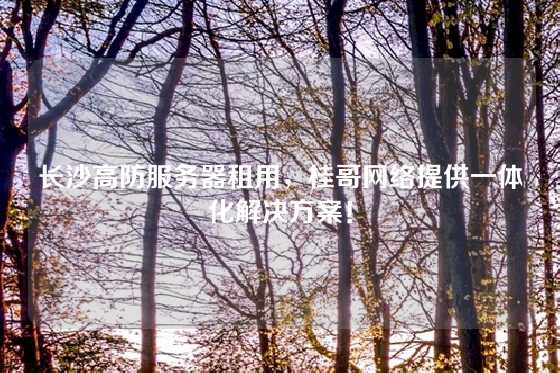 长沙高防服务器租用，桂哥网络提供一体化解决方案！