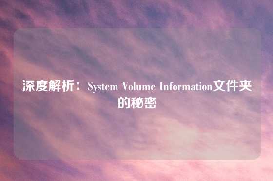 深度解析：System Volume Information文件夹的秘密
