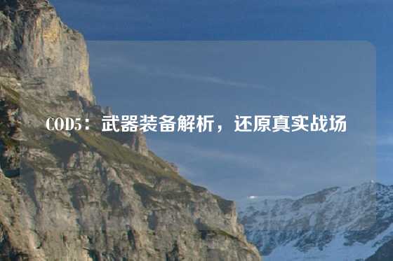 COD5：武器装备解析，还原真实战场