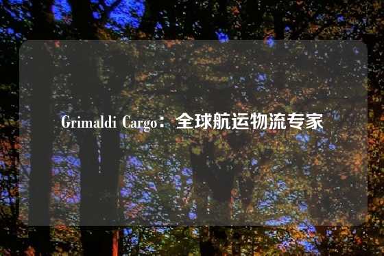 Grimaldi Cargo：全球航运物流专家