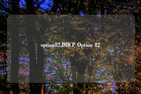option82,DHCP Option 82