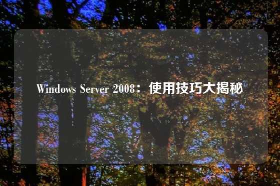 Windows Server 2008：使用技巧大揭秘