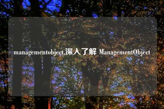 managementobject,深入了解 ManagementObject