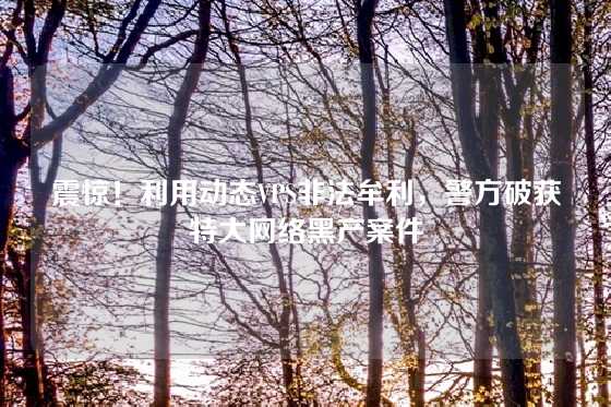 震惊！利用动态VPS非法牟利，警方破获特大网络黑产案件