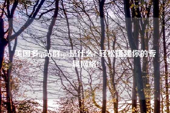 美国多ip站群vps是什么? 轻松搭建你的专属网络!