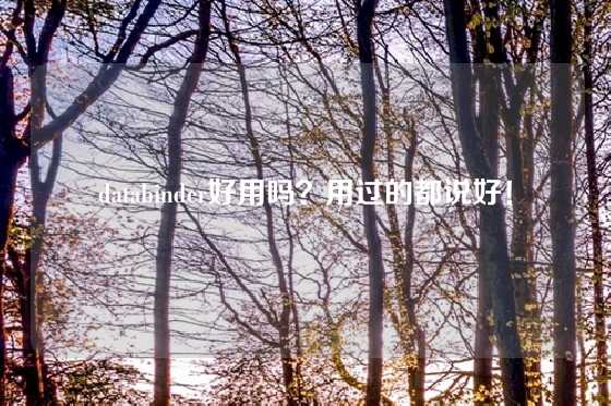 databinder好用吗？用过的都说好！