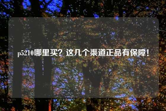 p5210哪里买？这几个渠道正品有保障！