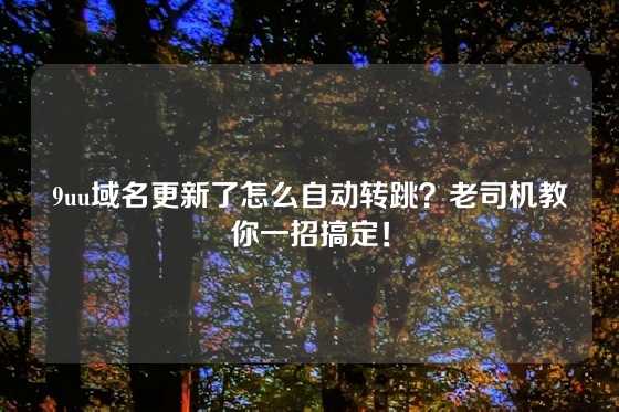 9uu域名更新了怎么自动转跳？老司机教你一招搞定！