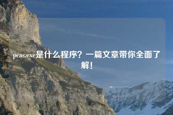 pcas.exe是什么程序？一篇文章带你全面了解！