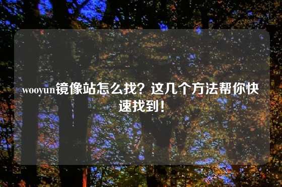 wooyun镜像站怎么找？这几个方法帮你快速找到！