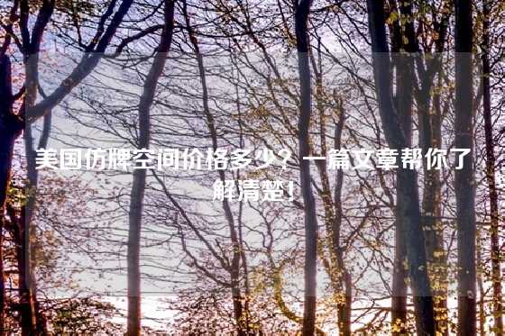 美国仿牌空间价格多少？一篇文章帮你了解清楚！