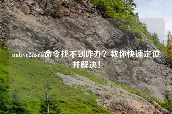 native2ascii命令找不到咋办？教你快速定位并解决！