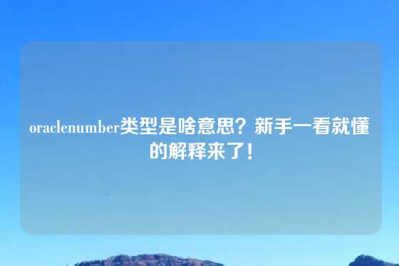 oraclenumber类型是啥意思？新手一看就懂的解释来了！