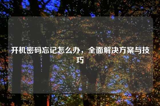开机密码忘记怎么办，全面解决方案与技巧